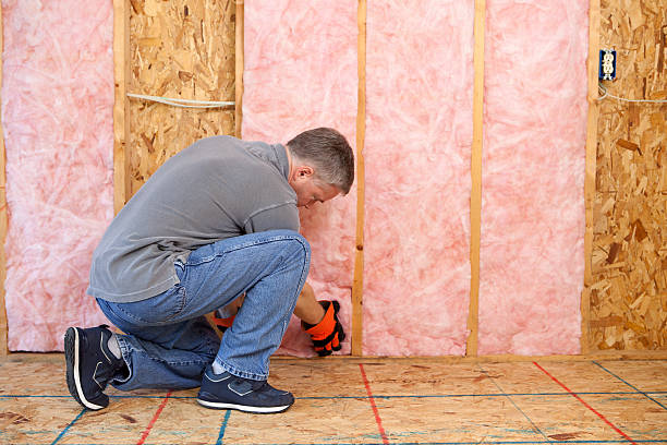 Best Commercial Insulation in Angustura, NM